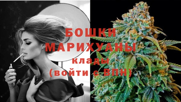 прущий лед Бронницы