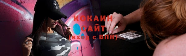 наркотики Бородино