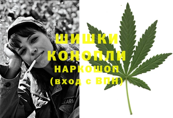 наркотики Бородино