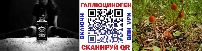 МЕГА как войти  Тулун  Псилоцибиновые грибы Psilocybine cubensis  купить наркотик 